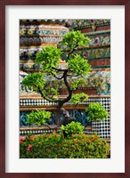 Bonsai tree in front of chedi, Wat Pho, Bangkok, Thailand Fine Art Print