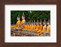 Row of Buddha statues, Wat Yai Chaya Mongkol or The Great Temple of Auspicious Victory, Ayutthaya, Thailand Fine Art Print