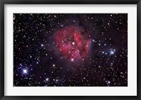 The Cocoon Nebula Fine Art Print