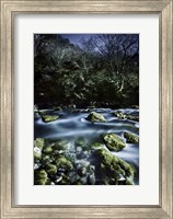 Aged boulders covered with moss in a river, Ritsa Nature Reserve Fine Art Print