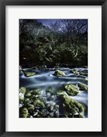 Aged boulders covered with moss in a river, Ritsa Nature Reserve Fine Art Print