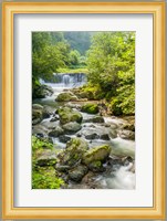 Waterfall and River, Rize, Black Sea Region of Turkey Fine Art Print