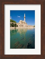 Halil-ur Rahman Mosque, Pool of Abraham, Urfa, Turkey Fine Art Print
