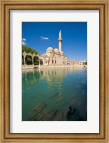 Halil-ur Rahman Mosque, Pool of Abraham, Urfa, Turkey Fine Art Print