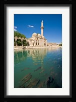 Halil-ur Rahman Mosque, Pool of Abraham, Urfa, Turkey Fine Art Print