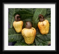 Cashew Nuts, Thailand Fine Art Print