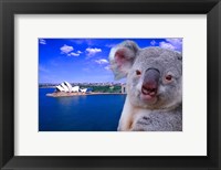 Portrayal of Opera House and Koala, Sydney, Australia Fine Art Print