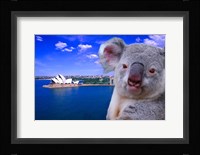 Portrayal of Opera House and Koala, Sydney, Australia Fine Art Print