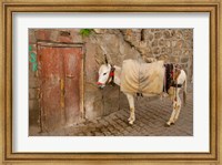 Donkey and Cobbled Streets, Mardin, Turkey Fine Art Print