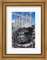 Columns and Relief Sculpture, Aphrodisias, Turkey Fine Art Print