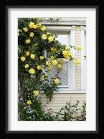 Istanbul, Turkey Fine Art Print