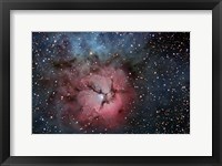 The Trifid Nebula Fine Art Print