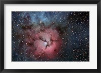 The Trifid Nebula Fine Art Print
