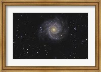 Messier 74, A Spiral Galaxy in the Constellation Pisces Fine Art Print