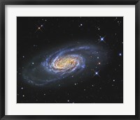NGC 2903, A Barred Spiral Galaxy in the Constellation of Leo Fine Art Print