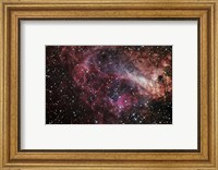 The Omega Nebula Fine Art Print