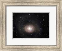 Messier 94, A Spiral Galaxy in the Constellation Canes Venatici Fine Art Print