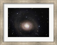 Messier 94, A Spiral Galaxy in the Constellation Canes Venatici Fine Art Print