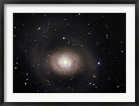 Messier 94, A Spiral Galaxy in the Constellation Canes Venatici Fine Art Print