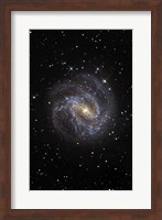 The Southern Pinwheel Galaxy Fine Art Print