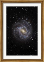 The Southern Pinwheel Galaxy Fine Art Print