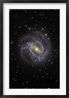 The Southern Pinwheel Galaxy Fine Art Print