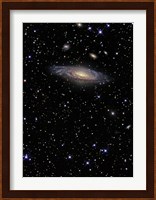 NGC 7331, A Spiral Galaxy in the Constellation Pegasus Fine Art Print