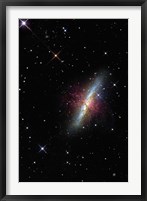 The Cigar Galaxy Fine Art Print