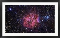 The Cocoon Nebula Fine Art Print