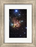 The Northern Trifid Nebula Fine Art Print