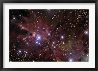 The Cone Nebula and Christmas Tree Cluster Fine Art Print