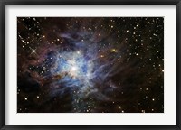 The Iris Nebula Fine Art Print