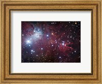 The Cone Nebula Region Fine Art Print