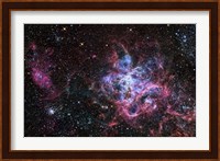 The Tarantula Nebula Fine Art Print