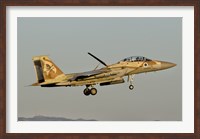 Israeli Air Force F-15I Ra'am Fine Art Print
