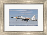 Side view of a F-5N Freedom Fighter aircraft Fine Art Print