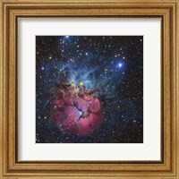 Close up of The Trifid Nebula Fine Art Print
