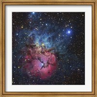 Close up of The Trifid Nebula Fine Art Print
