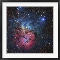 Close up of The Trifid Nebula Fine Art Print
