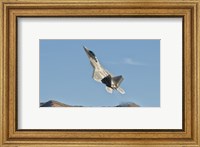 US Air Force F-22 Raptor, Nellis Air Force Base, Nevada Fine Art Print