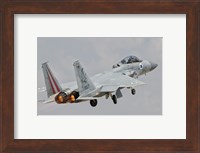 F-15D Eagle Baz Aircraft of the Israeli Air Force Fine Art Print