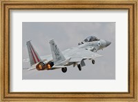 F-15D Eagle Baz Aircraft of the Israeli Air Force Fine Art Print