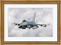 F-16 from the Colorado Air National Guard in flight over Brazil Fine Art Print
