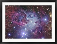 The Fox Fur Nebula Fine Art Print