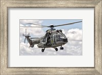 Eurocopter AS332 Super Puma Helicopter of the Brazilian Navy Fine Art Print