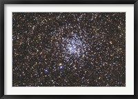 The Wild Duck Cluster Fine Art Print