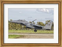 F-15E Strike Eagle, Decimomannu Air Base, Italy Fine Art Print