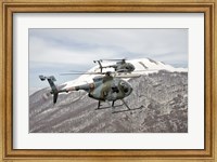 Two Breda Nardi NH-500 helicopters of the Italian Air Force over Frosinone, Italy Fine Art Print