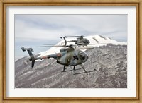 Two Breda Nardi NH-500 helicopters of the Italian Air Force over Frosinone, Italy Fine Art Print