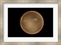 The Sun in Hydrogen Alpha Fine Art Print